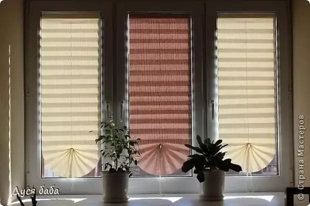 কাগজ blinds এটা নিজেকে না