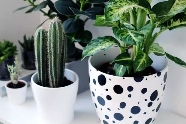 Comment décorer le pot de fleurs dans le style de Dalmatien