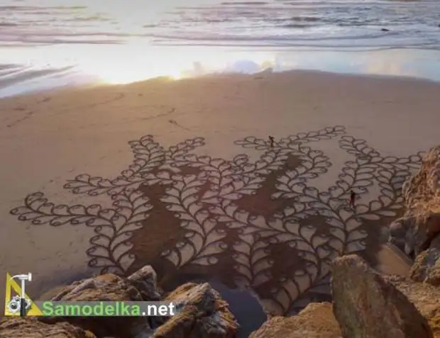 Drawings on the sand Andres Amador Algae