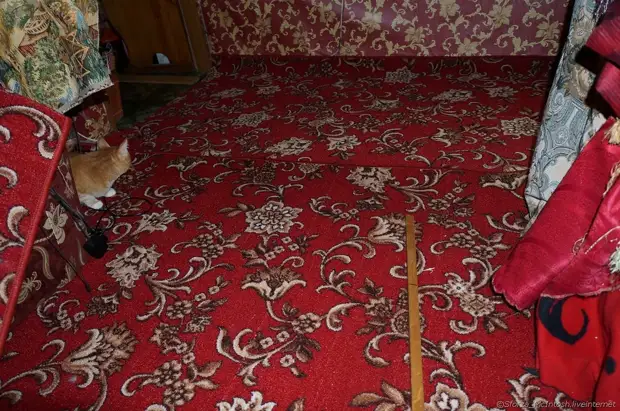 Takachinja sei carpet uye yakagadziriswa pasi