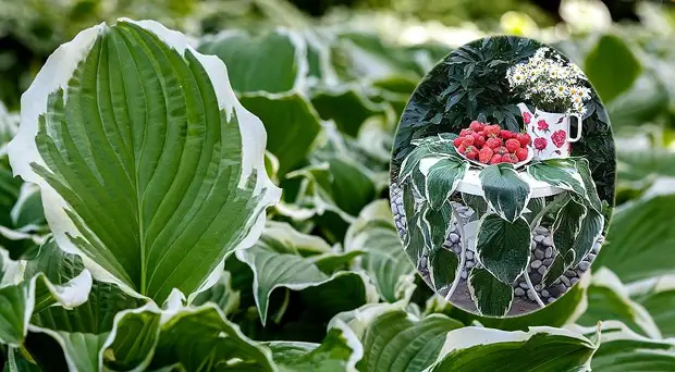 Cómo hacer en 5 minutos Hermoso mantel vegetal para las vacaciones rurales.