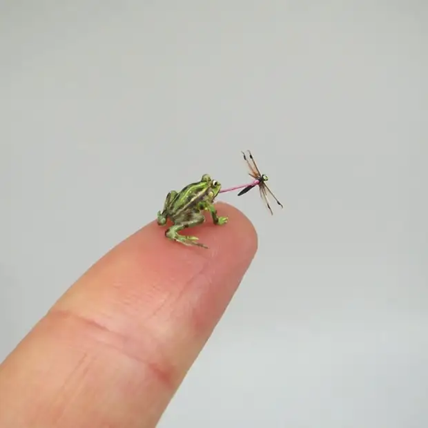 Artist creates incredibly realistic animal miniatures