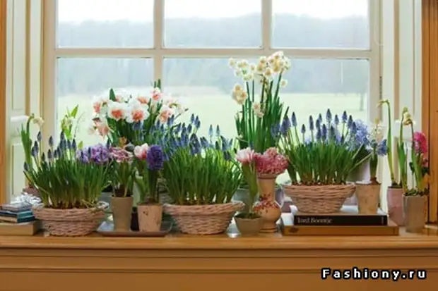 Une sélection de pots de fleurs, de vases, de bouillie faite avec leurs propres mains