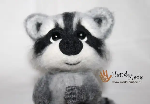 Toy raccoon di teknîka felsefê zuha de. Çîna masterê