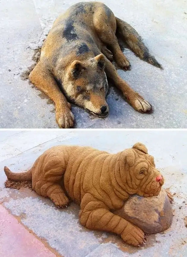 Zandsculpturen die er zo natuurlijk uitzien dat de ogen niet geloven