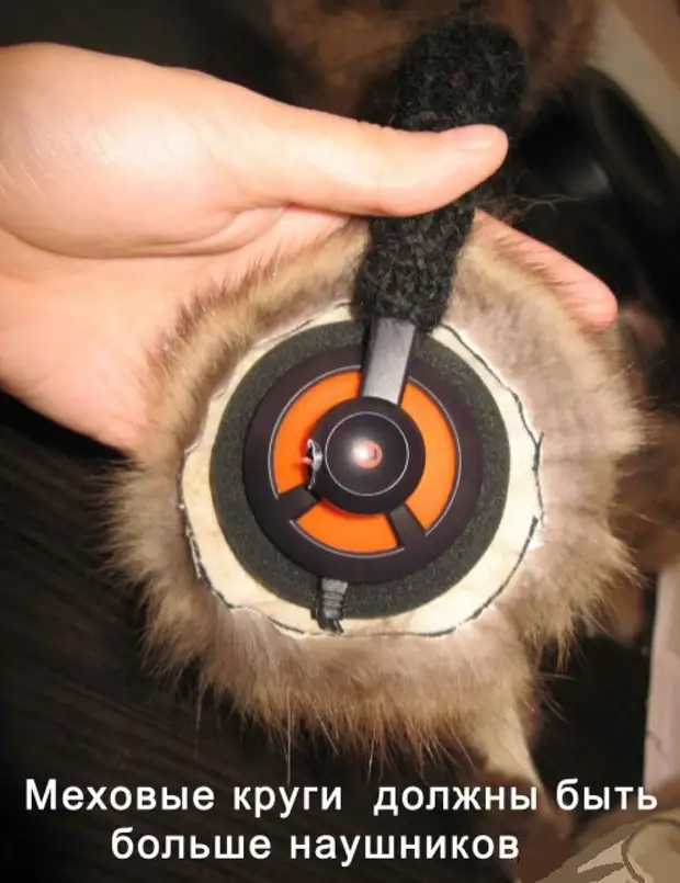 Headphone6 ​​(497x646, 238kb)