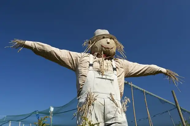 Y el espantapájaros puede ser limpio