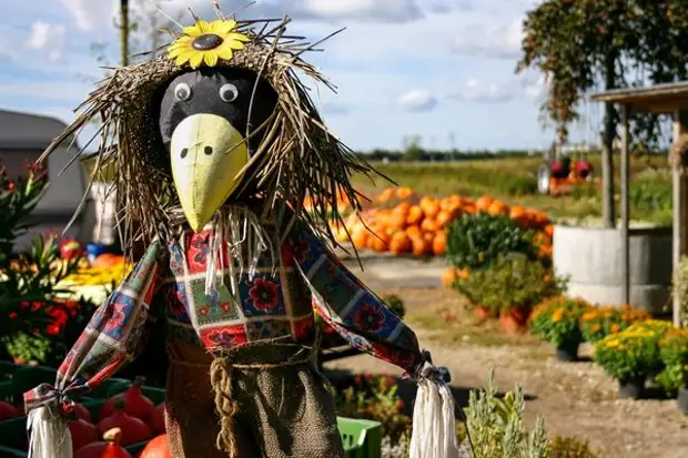 Scarecrow-crow