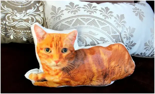 Pillow cat, Hakbang 9.