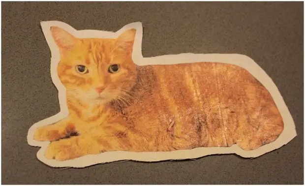 Pillow cat, Hakbang 4.