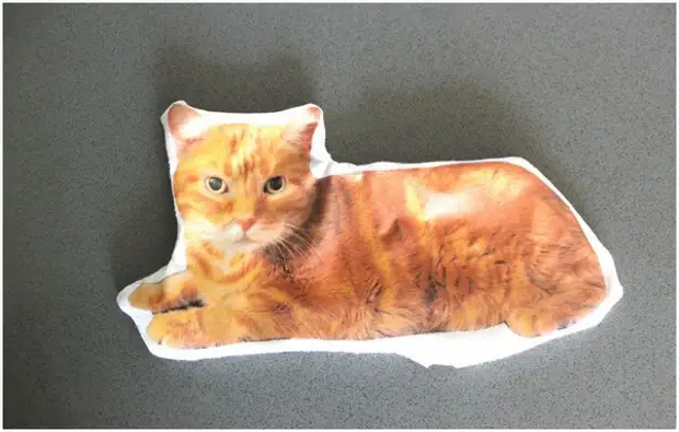 Pillow cat, Hakbang 7.