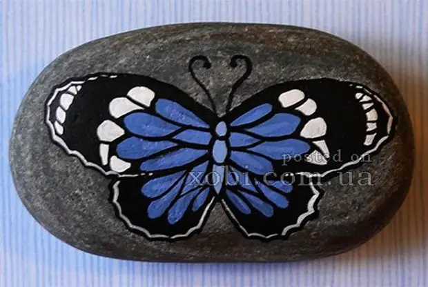 Pictures of butterflies on the stones