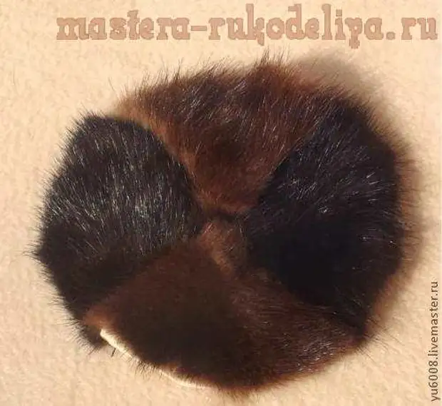 Mastersklasse oan Sewing Fur: Mink Turtle