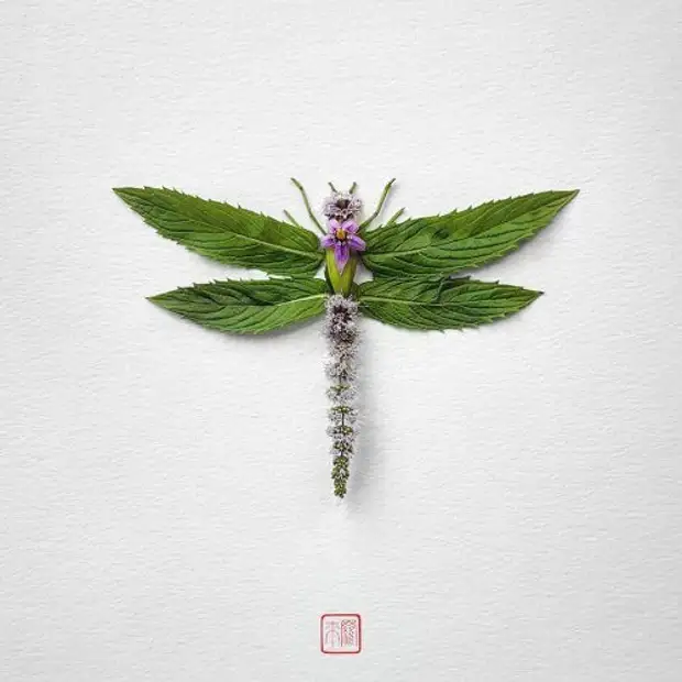 Insects created from the colors from the artist Cancer Inoue