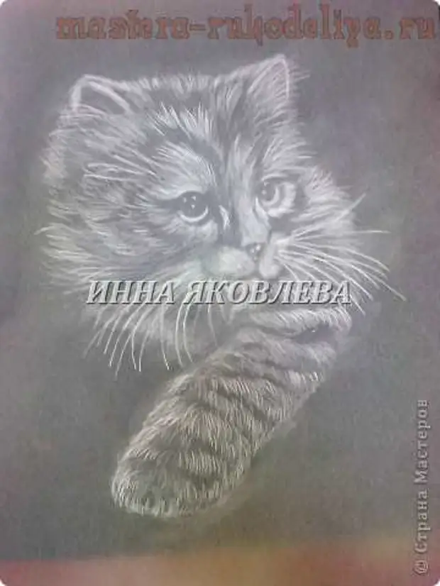 სამაგისტრო კლასი Pergamano: Fluffy Cat