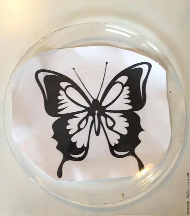 装饰一个碗“蝴蝶”