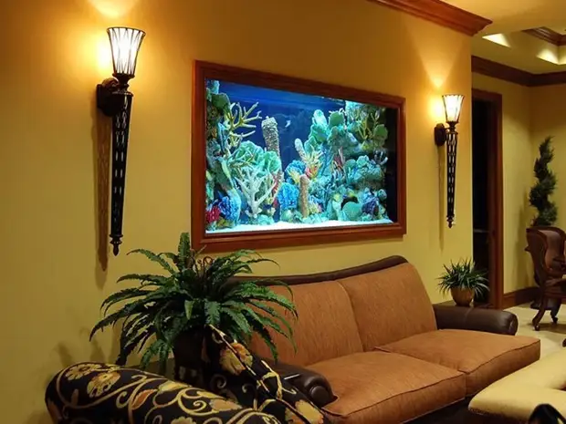 Aquarium en la interno de via apartamento