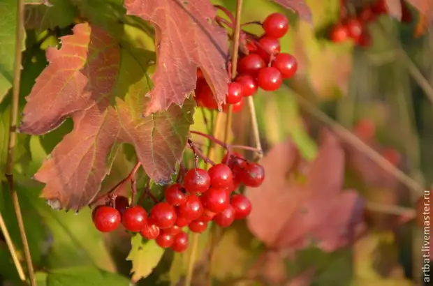 Fausia se Autumn Wreath e aunoa ma le valea