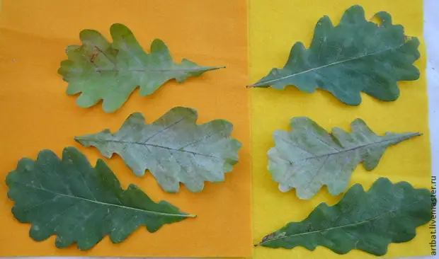 Crea una corona de otoño sin engañar