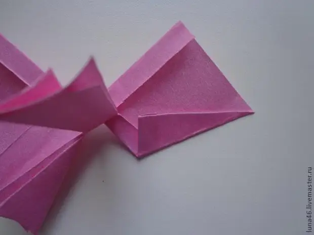 Papel bow.