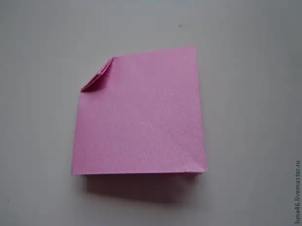 Paper bow