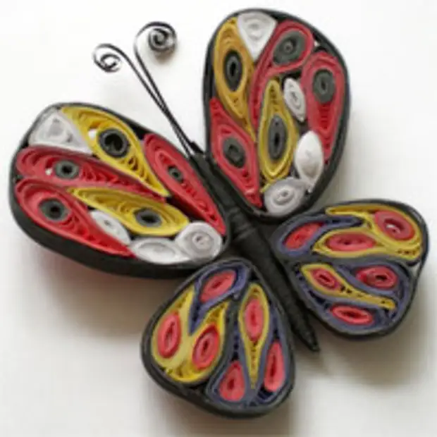 Butterfly in the technique of quilling