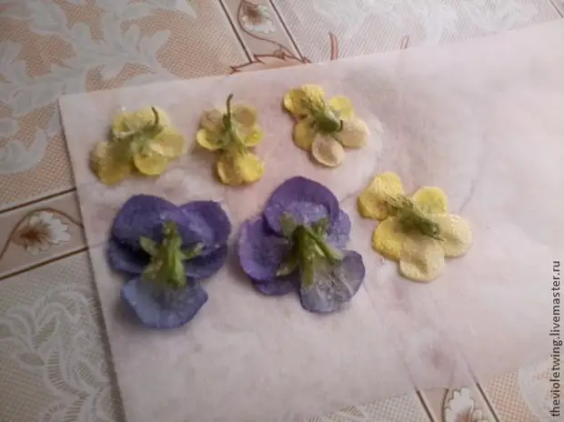 Candied violets, o tag-init na nahuli sa Palm