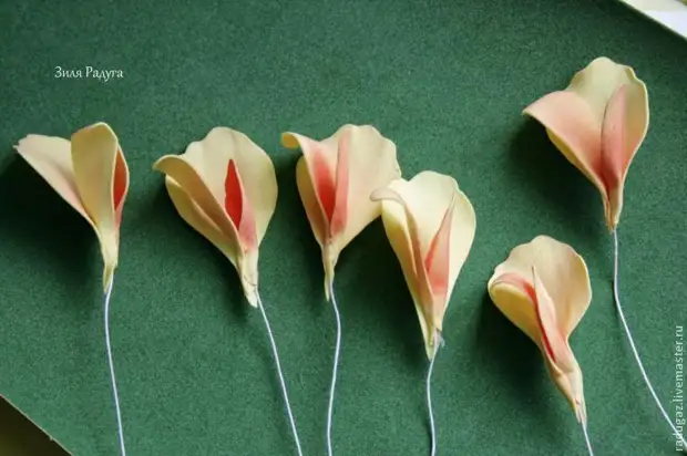 Haciendo una flor de cannes de Foamira