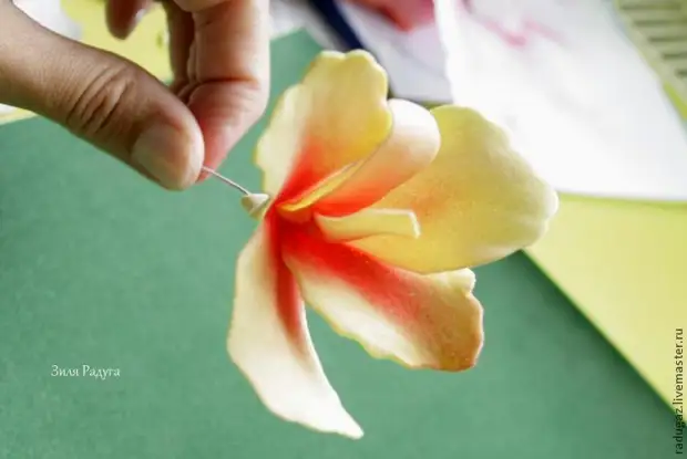 Fazendo uma flor de cannes de foamira