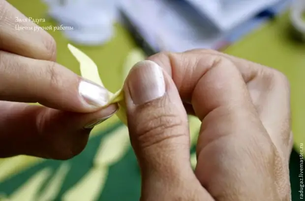 Faire une fleur de Cannes de Foamira