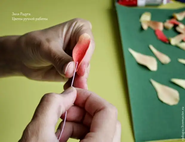 Haciendo una flor de cannes de Foamira