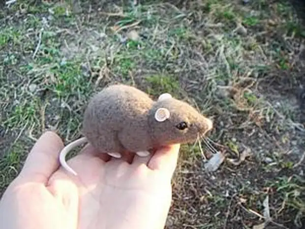בכיתה מאסטר: עכבר בטכניקה יבשה יבשה מאסטרים הוגנים - בעבודת יד, בעבודת יד