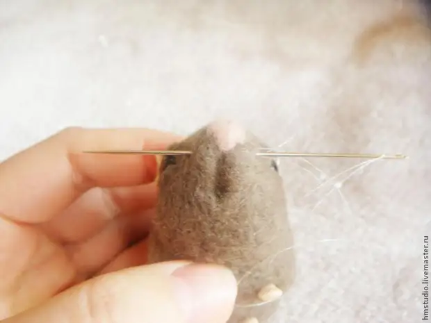 עכבר בטכניקה יבשה יבשה
