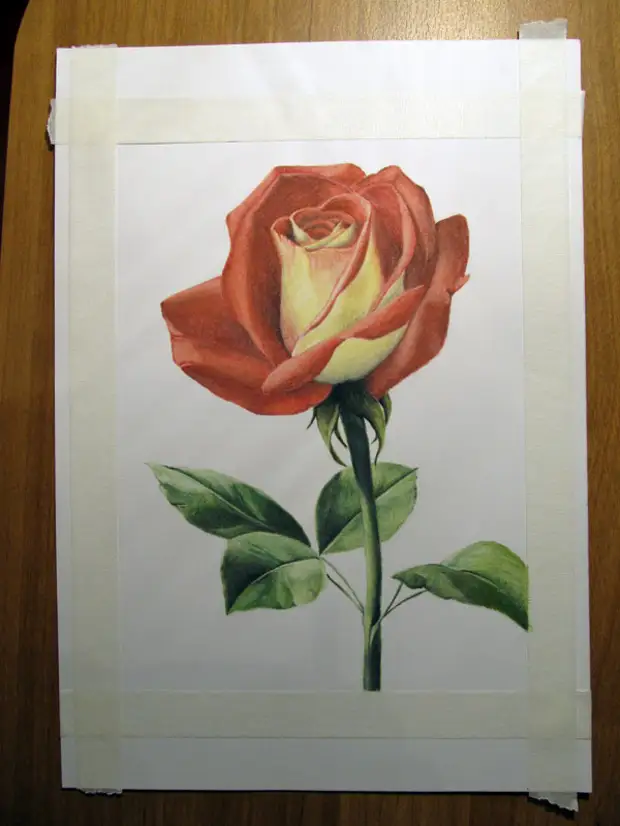 Desenhe uma rosa