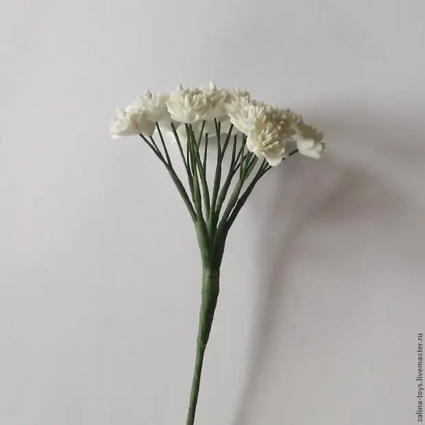 Umusaruro wa Gypsophila wo muri Fomimin