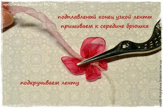 Butterfly ეხლა organza 2 წუთის განმავლობაში