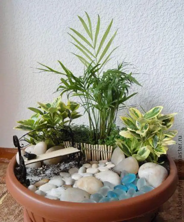 Mini-Garden ing pot