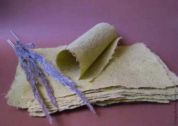 Papier fait à la main de l'herbe
