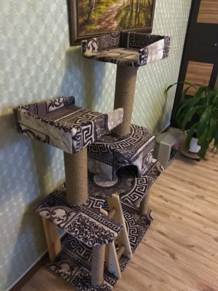 Mačja kuća sa svojim rukama