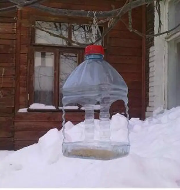 C8d44d7bfb63 bird feeders. Pagpili ng mga ideya