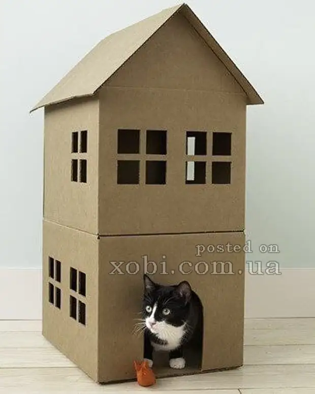 Nhà cho một hộp catboard