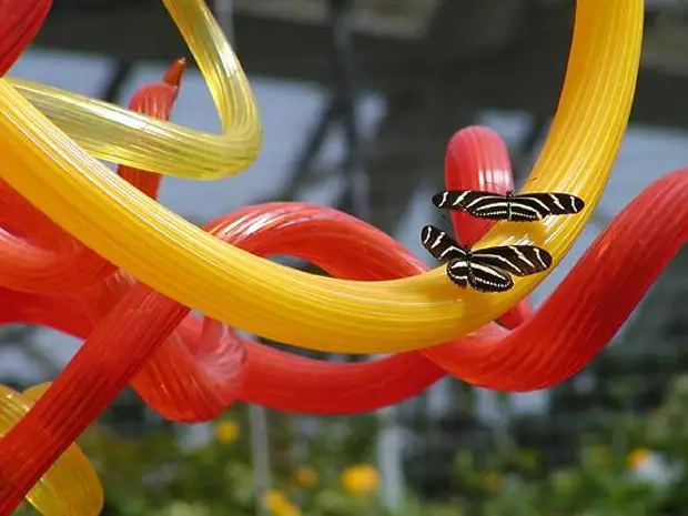 Dale Chihuli klaasist meistriteosed