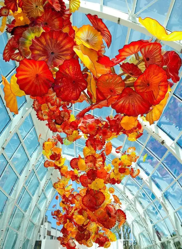 Dale Chihuli دىن ئەينەك نادىر