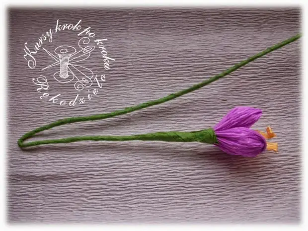 Crocuses kubva pakakora pepa (14) (700x526, 295kb)