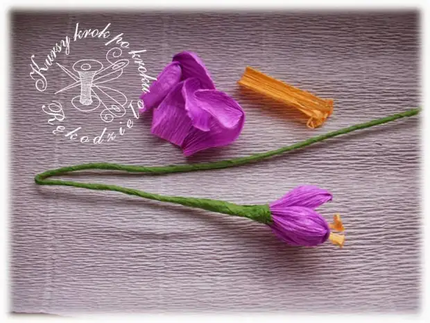 Crocuses kubva pakakora pepa (15) (700x526, 316kb)