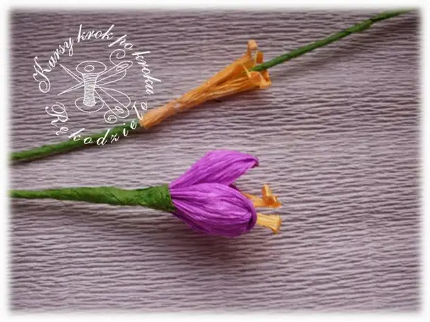 Corfuged စာတမ်း (17) (700x525, 289kb) မှ Crocuses