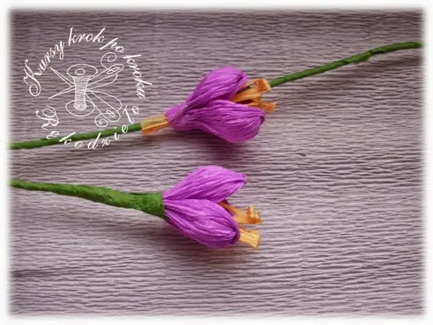 Corugrated Paper (18) (700x526, 306KB) မှ Crocuses