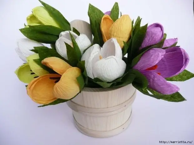 הרכב האביב של crocuses נייר 21540_4