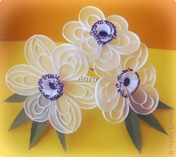 Master Class Quilling Spilling On Celing MK Anemones Paper Paper Stripes Foto 1