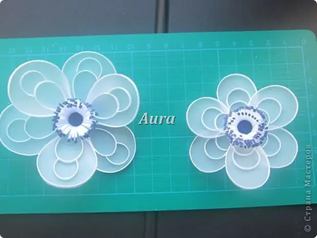 Master Class Quilling Quilling บน Celing MK Anemones Paper Stripes Photo 9